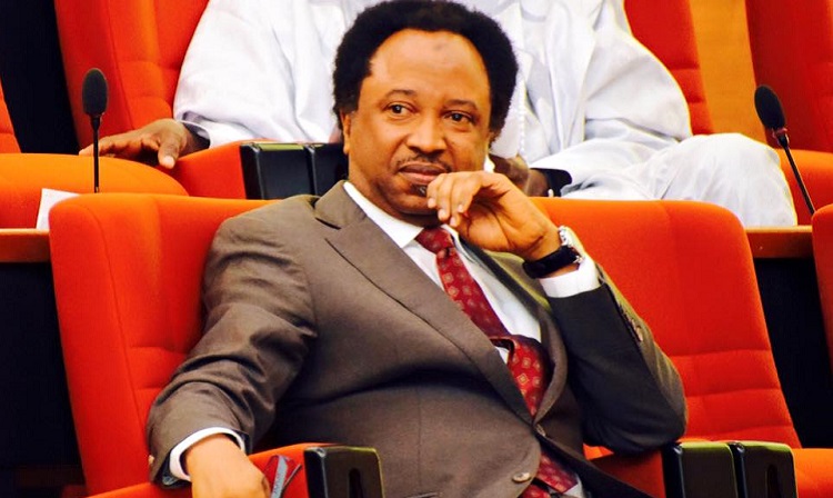 Shehu Sani has revealed why Buhari cancelled yesterday's broadcast